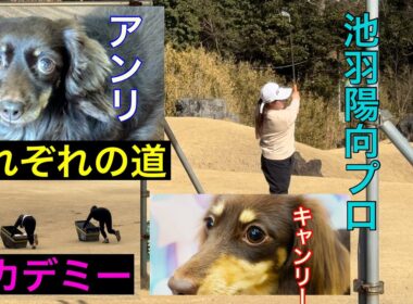 それぞれのSTART❗️【ジャンボ邸】わんちゃん・プロ・アカデミー生・・・