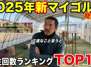 【お知らせあり】2025年色々あったマイゴルフの1年を振り返ってみよう！