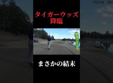 タイガーウッズ降臨。まさかの結末。やすゴルメンバーと会えるイベントも開催！#ゴルフ女子 #ゴルフスイング #ゴルフレッスン#ゴルフ女子#ドライバーショット