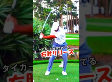 タイガー・ウッズがレジェンドである所以はコレが出来てるから！　#WGSL #ベタ足スイング #前倒し