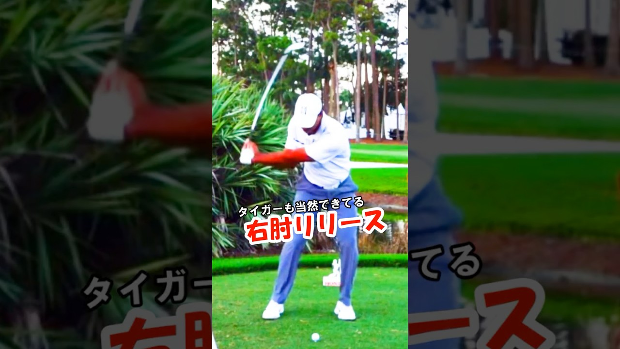 タイガー・ウッズがレジェンドである所以はコレが出来てるから！　#WGSL #ベタ足スイング #前倒し