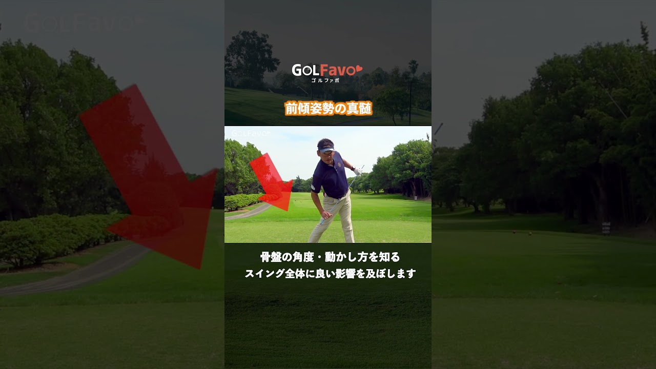 前傾角度をキープするコツ｜おすすめ確認方法【ゴルファボ】 #ゴルフ #前傾角度