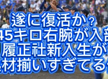 【高校野球】履正社2026年新入生に145キロ右腕が入部逸材揃いすぎている件#高校野球 #甲子園