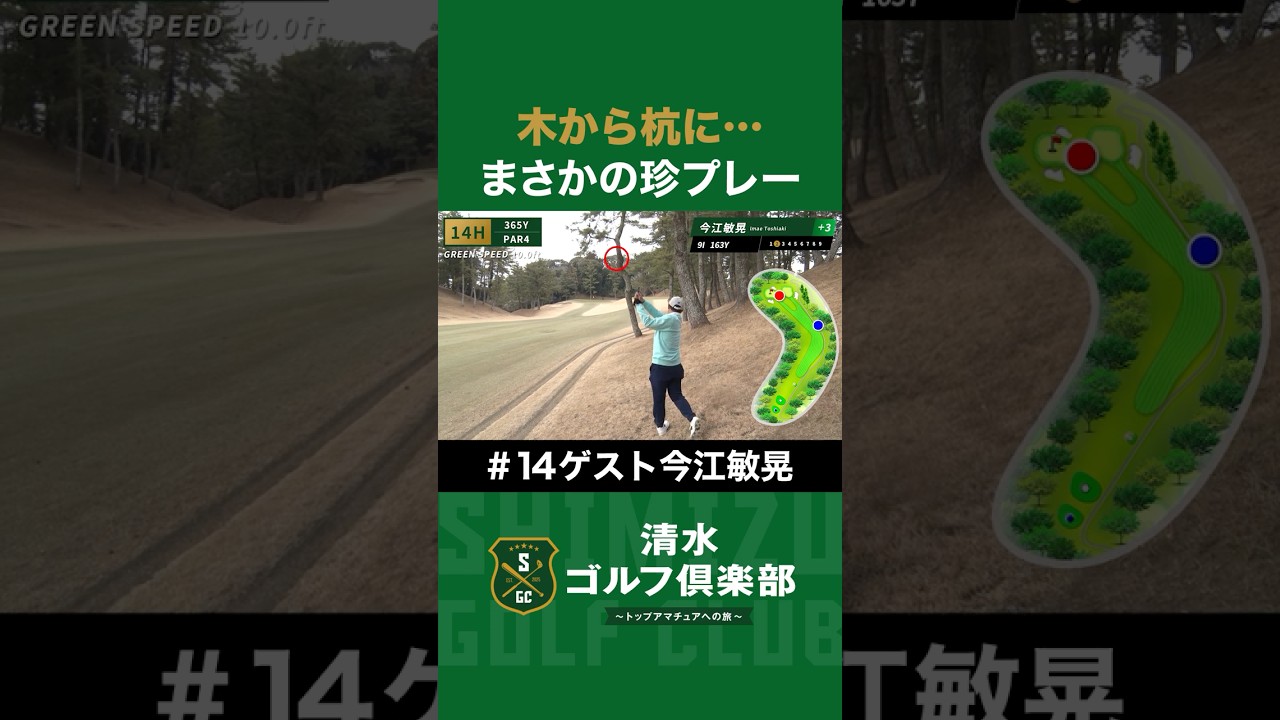 【ゴルフ×今江敏晃】木から杭に…まさかの珍プレー炸裂！ #今江敏晃 #清水直行 #ゴルフ #清水ゴルフ倶楽部 #野球