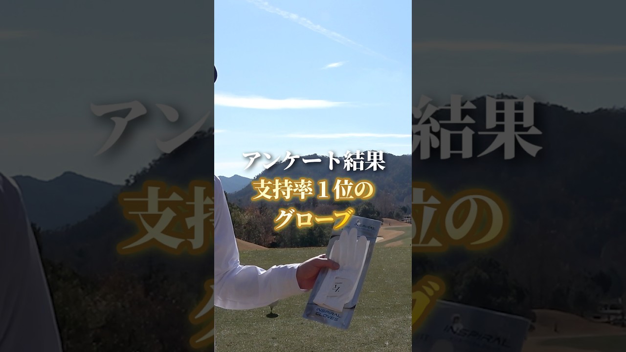 【支持率No.1】グローブ