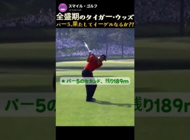 全盛期のタイガー・ウッズ🐯