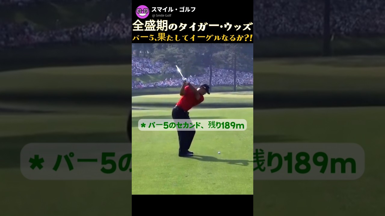 全盛期のタイガー・ウッズ🐯