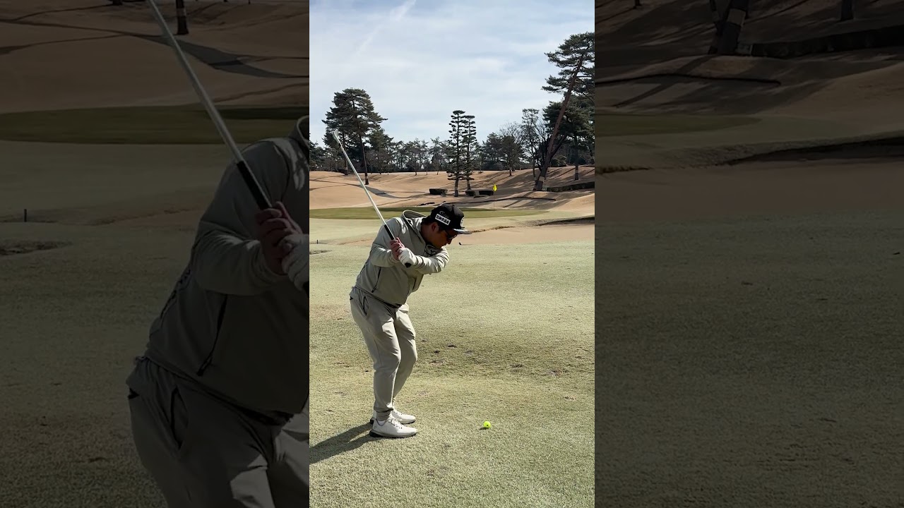 ゴルフは距離感🏌️‍♂️60yd 56°のアプローチ #ゴルフ #ゴルフスイング #アプローチ