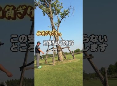 こんなルールあるの？タイ編#ゴルフ #golf #救済方法 #救済措置 #初心者ルール