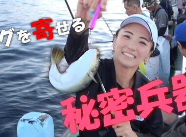 【ショウサイフグ釣り】にカットウ仕掛けで挑戦！魚が寄ってくるオモリ【ディグシンカーⅡ】で釣果アップを狙え！