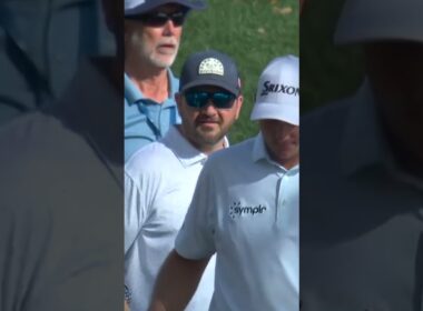 The ball caught a bird on the fly 👀