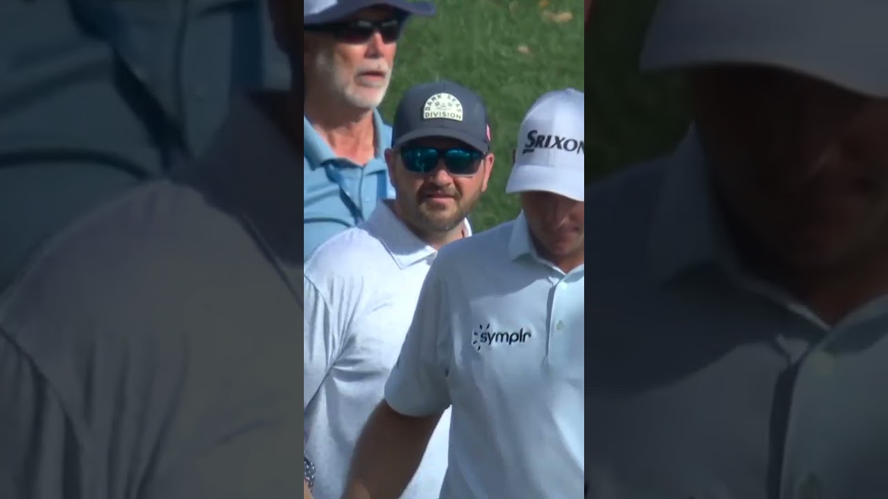 The ball caught a bird on the fly 👀