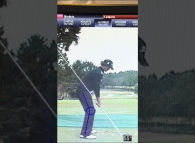 アダムスコット選手のP2テークバック初期を真似よう！#ゴルフレッスン #ゴルフスイング #ゴルフ基本 #ゴルフドリル #ゴルフ練習 #ゴルフスクール #ゴルフ基礎 #youtubeshorts