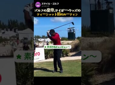 ゴルフの皇帝、タイガー・ウッズの ティーショット前のルーティン