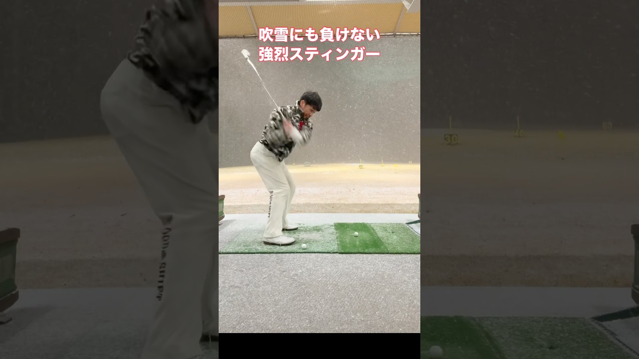 【悪天候でも突き進む】強烈スティンガーのコツ【5番アイアン】#Shorts