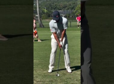 Adam Scott Backswing #golfswing #golf