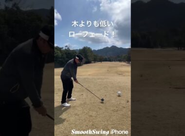 【スティンガーショット】強風なのでローフェードでフェアウェイへ！狙って打てたらカッコいいなぁ😅#ピーズリンクス#美和ゴルフクラブ#ゴルフスイング#強風#風対策#スティンガーショット#ゴルフ#golf