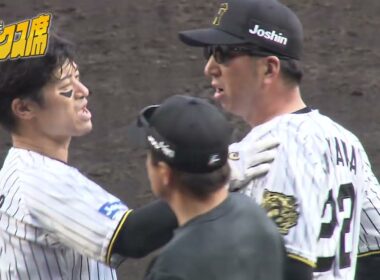 【エキサイト】藤川監督激怒！坂本誠志郎選手への頭部死球で両軍ベンチから監督選手が飛び出す事態に（2025年4月20日 阪神ー広島） #サンテレビボックス席