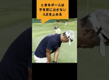 アプローチ６＃ゴルフスイング＃Sメソッド＃佐久間馨＃ゴルフ#ゴルフ科学#スイングメカニズムコースマネジメント#飛ばしのコツ#golf #飛距離の秘密＃力まないスイング#shorts