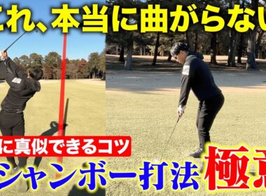 【デシャンボー】本当に曲がり幅激減！一度は試してほしい「デシャンボー打法」の極意を、わかりやすくお伝えします！