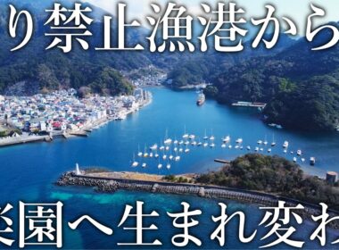 巨大な釣り禁止漁港が解放！調査すると昼間からアジや回遊魚が無限に釣れる楽園だった…