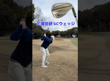 三浦技研SCウェッジの黄金スペックはこれ！#ゴルフ #ゴルフレッスン #ゴルフスイング #golf #shortvideo