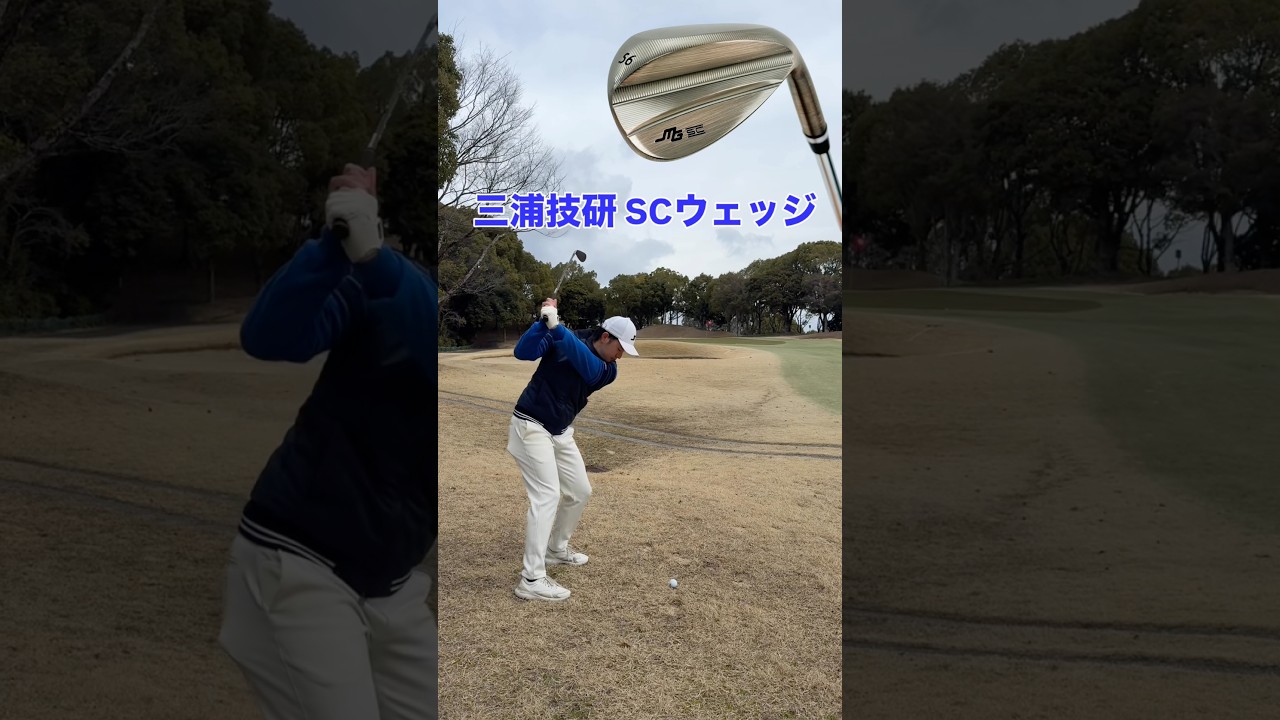 三浦技研SCウェッジの黄金スペックはこれ！#ゴルフ #ゴルフレッスン #ゴルフスイング #golf #shortvideo