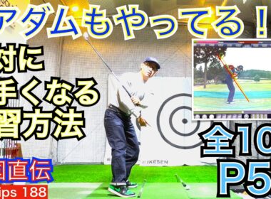 【P5でミスる人が一生当たらない理由】アダム・スコット選手のライトエルボープレーンを解説して説明します。全10回のP5編はここを抑えると上達するポイントです。前４編（P1~P4）と併せてご視聴下さい！