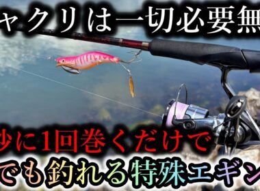 シャクリは一切無し…今の時期限定のこの釣り方は初心者でも巻くだけでイカが簡単に釣れます