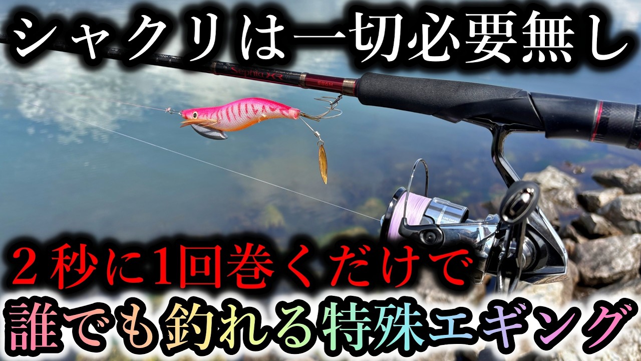 シャクリは一切無し…今の時期限定のこの釣り方は初心者でも巻くだけでイカが簡単に釣れます