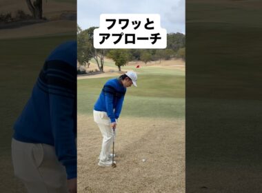 三浦技研SCウェッジでフワッとアプローチ #ゴルフ #ゴルフレッスン #ゴルフスイング #golf #shorts