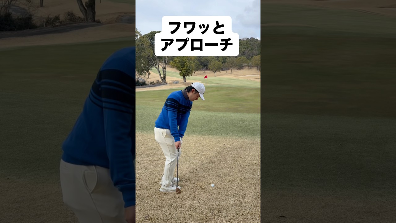 三浦技研SCウェッジでフワッとアプローチ #ゴルフ #ゴルフレッスン #ゴルフスイング #golf #shorts
