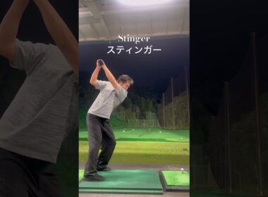 昔はパンチショットって言ってましたよね