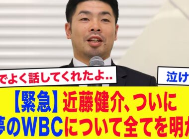 【WBC舞台裏】「正直、話すのも嫌になるけど..」近藤健介、猛批判を喰らったWBCについて全てを暴露...近藤のひたむきな姿勢と大谷翔平の衝撃の行動に涙が止まらない...