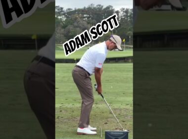 Adam Scott #golfswing