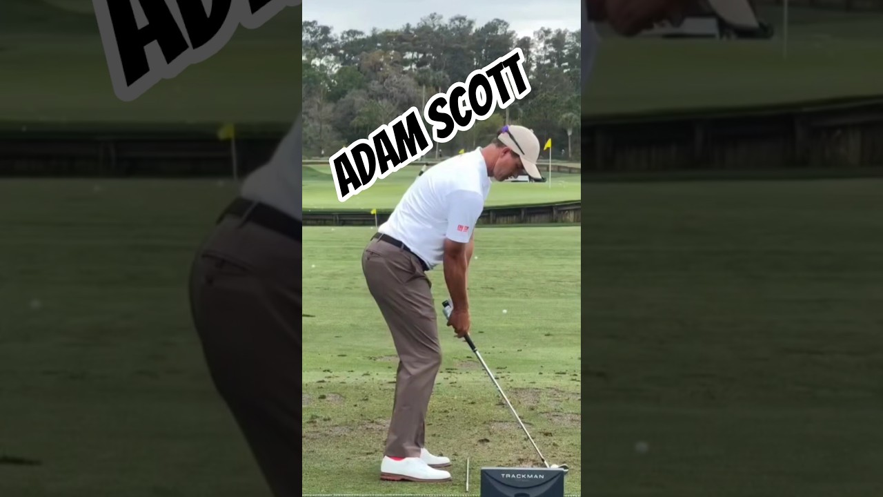 Adam Scott #golfswing