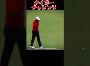 タイガーチャレンジ#golfshorts #golf #ゴルフ #タイガーウッズ