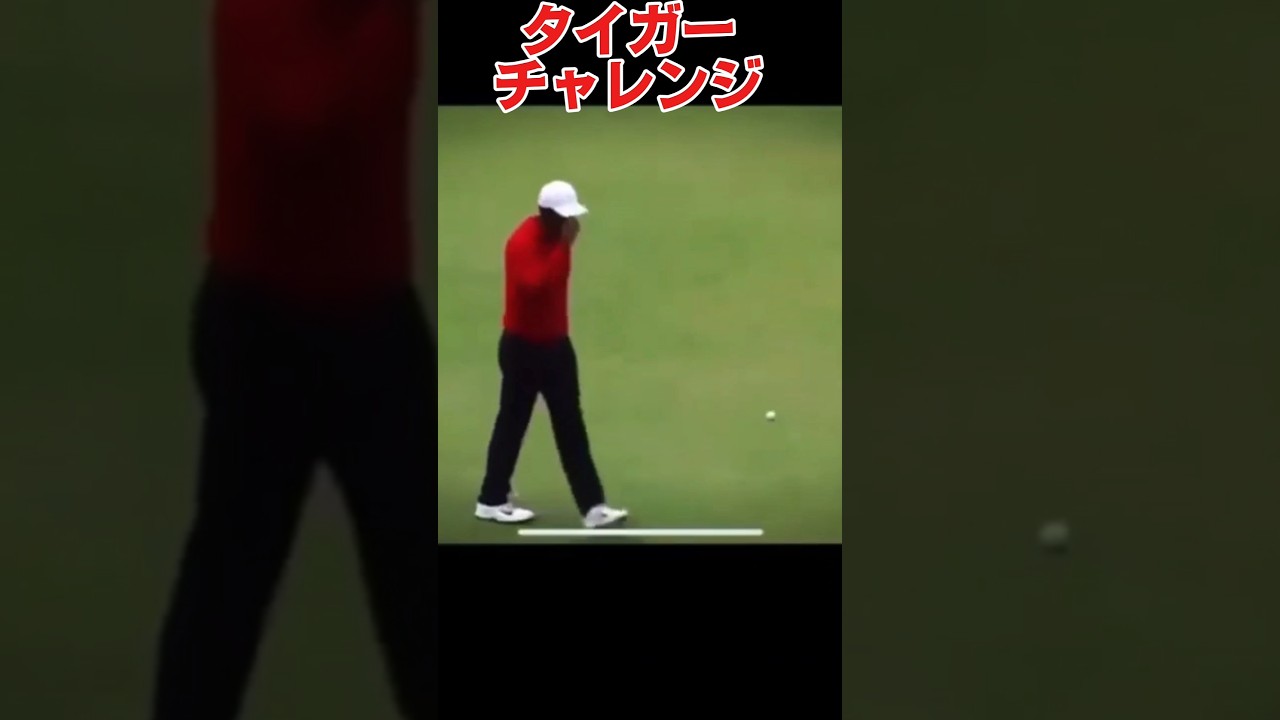 タイガーチャレンジ#golfshorts #golf #ゴルフ #タイガーウッズ