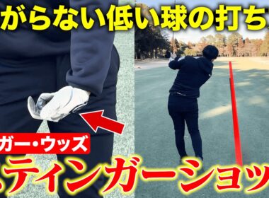 【やってみて】タイガー・ウッズの「スティンガーショット」曲がらない超低い球の打ち方を解説します！