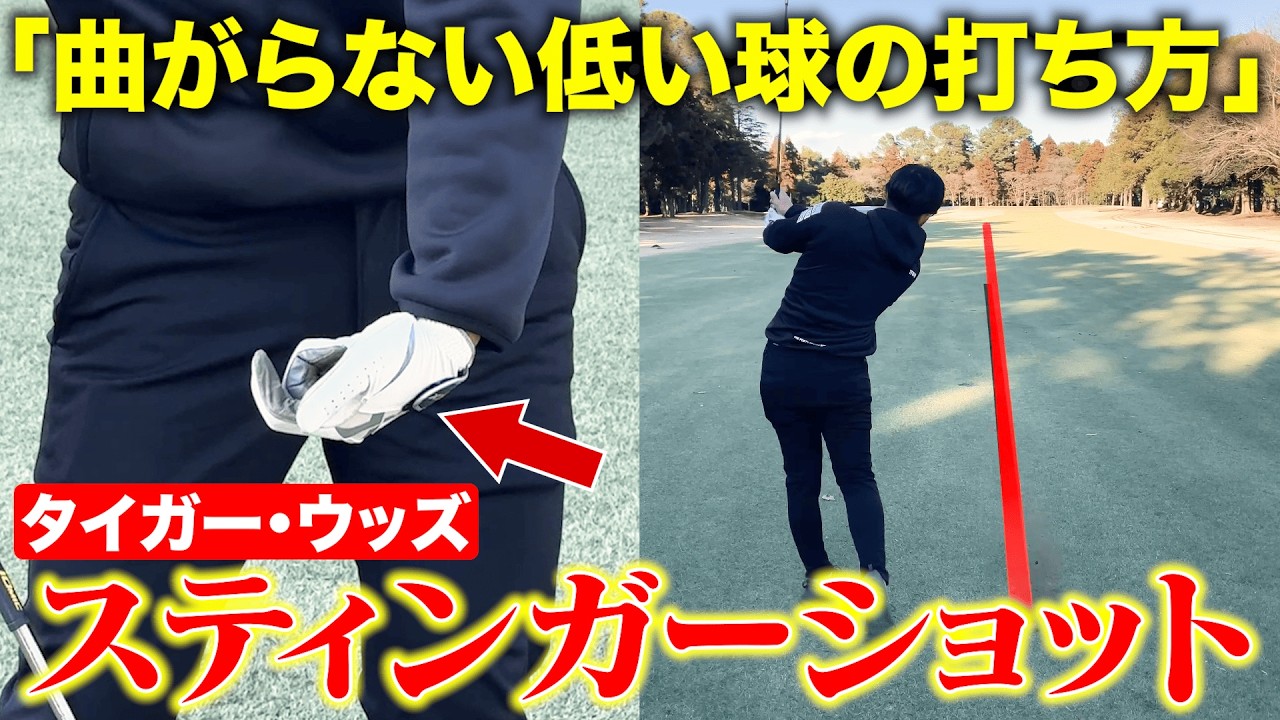 【やってみて】タイガー・ウッズの「スティンガーショット」曲がらない超低い球の打ち方を解説します！