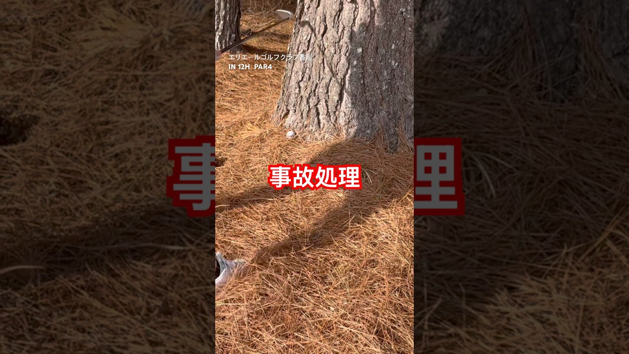 流石にアンプレアブルで良かったのでは #ゴルフ女子 #ゴルフ初心者 #娘とゴルフ #エリエールゴルフクラブ香川