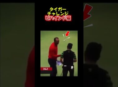 タイガーチャレンジビハインド編#golfshorts #golf #ゴルフ #タイガーウッズ #タイガーチャレンジ