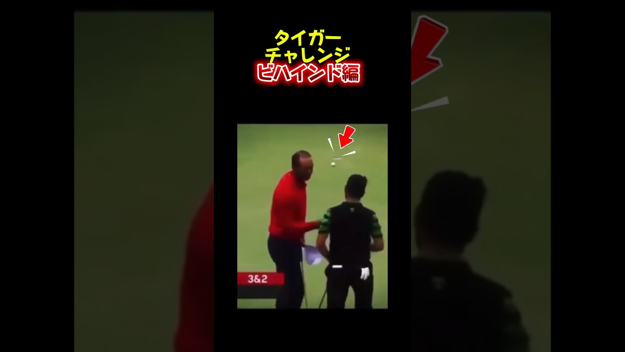 タイガーチャレンジビハインド編#golfshorts #golf #ゴルフ #タイガーウッズ #タイガーチャレンジ
