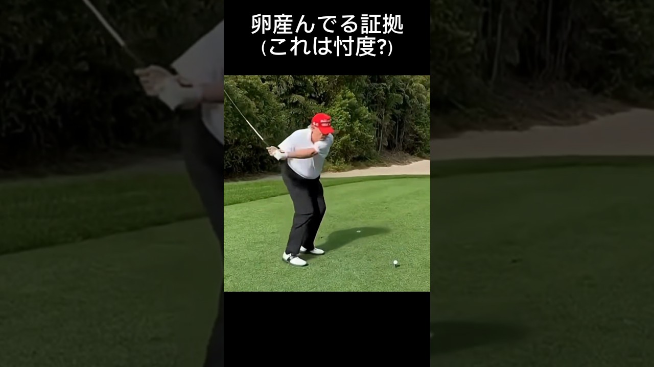 卵産んでる証拠#golfshorts #golf #golfswing #ゴルフ #ゴルフスイング #トラップ大統領ゴルフ