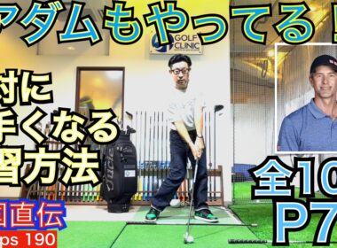 【全10回P7インパクト編】アダム・スコット選手のインパクトポイントを解説。全10回のP7編はゴルフ上達の肝になります。ゴルフスイング考察をする上で前6編（P1~P5）も併せてご視聴下さい！
