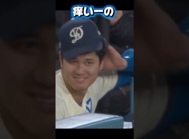佐々木朗希VS鈴木誠也！朗希を応援するロハス！頭が痒い大谷翔平！ドジャースVSカブス
