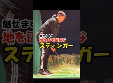和製タイガーウッズが魅せる地を這うスティンガー！！　#WGSL #ベタ足スイング #前倒し