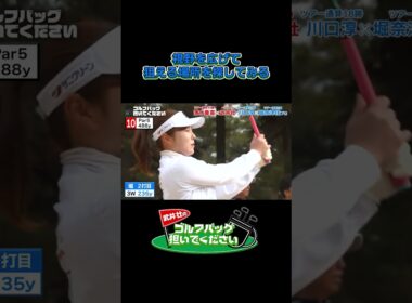 【視野を広げて狙える場所を探してみる】武井壮のゴルフバッグ担いでください/#武井壮#プロキャディー #golf #ゴルフ #shorts #切り抜き #プロゴルファー#堀奈津佳