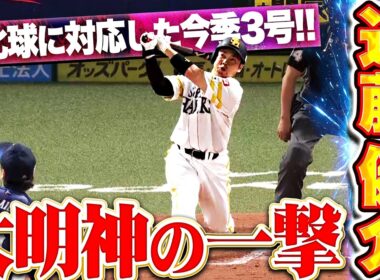 【大明神の一撃】近藤健介『ここぞの場面で見せた勝負強さ！変化球に上手く反応した今季3号2ラン!!』
