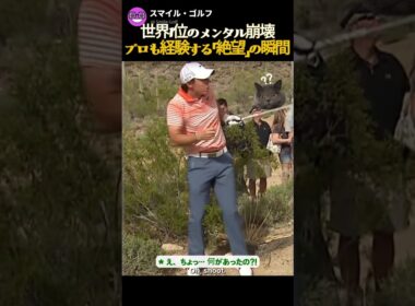 世界1位もゴルフを辞めたくなる時 (マキロイの受難時代)